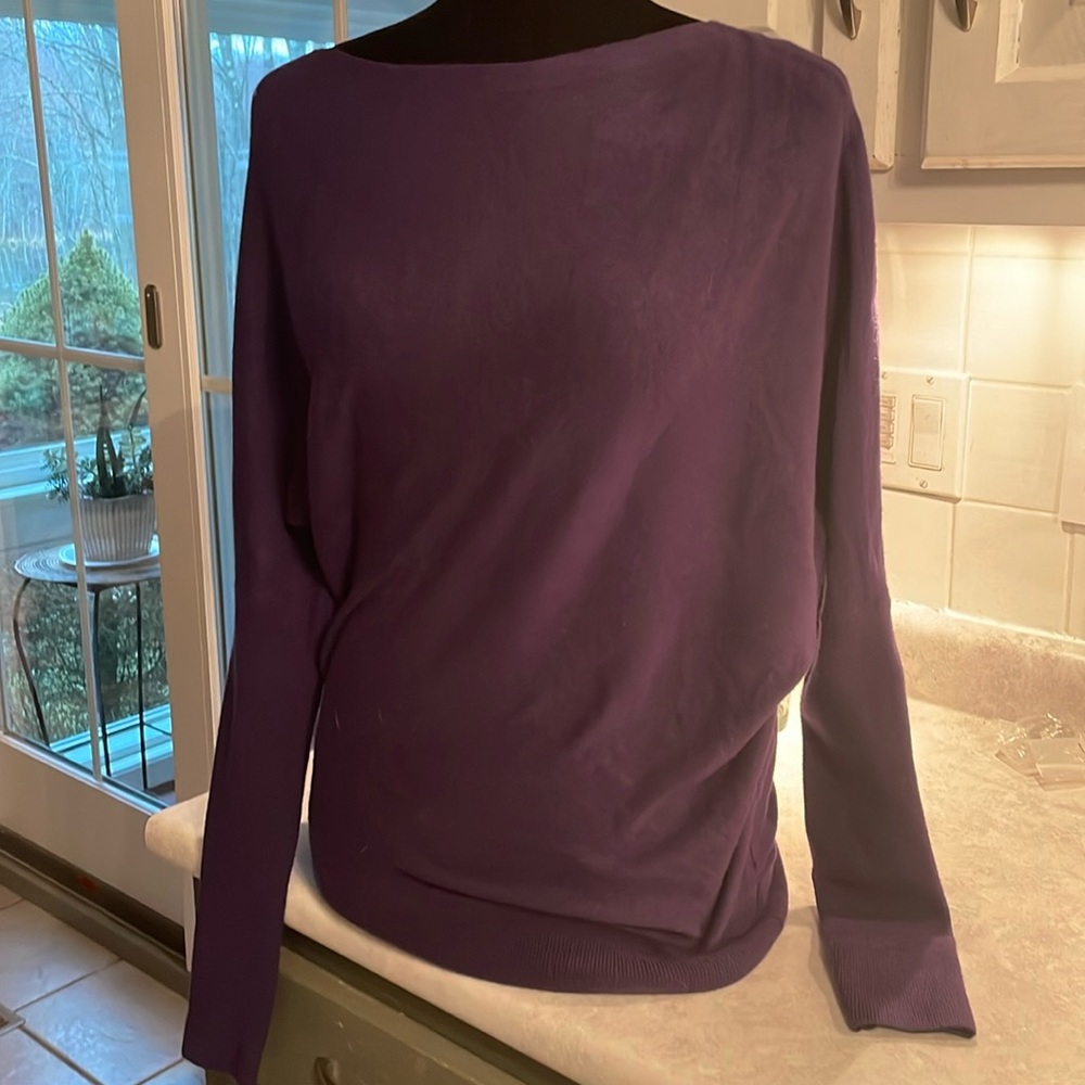 NWT Express sweater